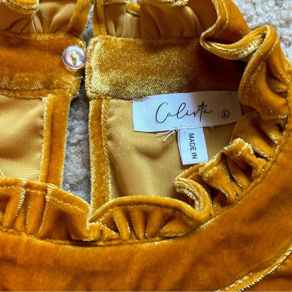 Calista | Rust Orange Velvet Dress - Picture 7 of 8